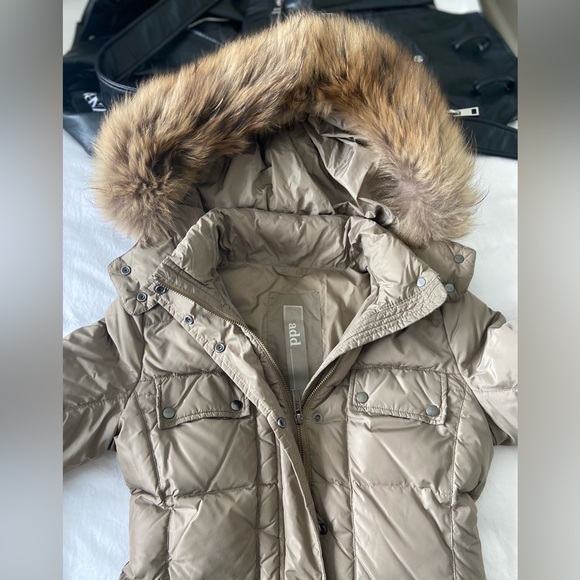 Add Down Jacket - Picture 5 of 5
